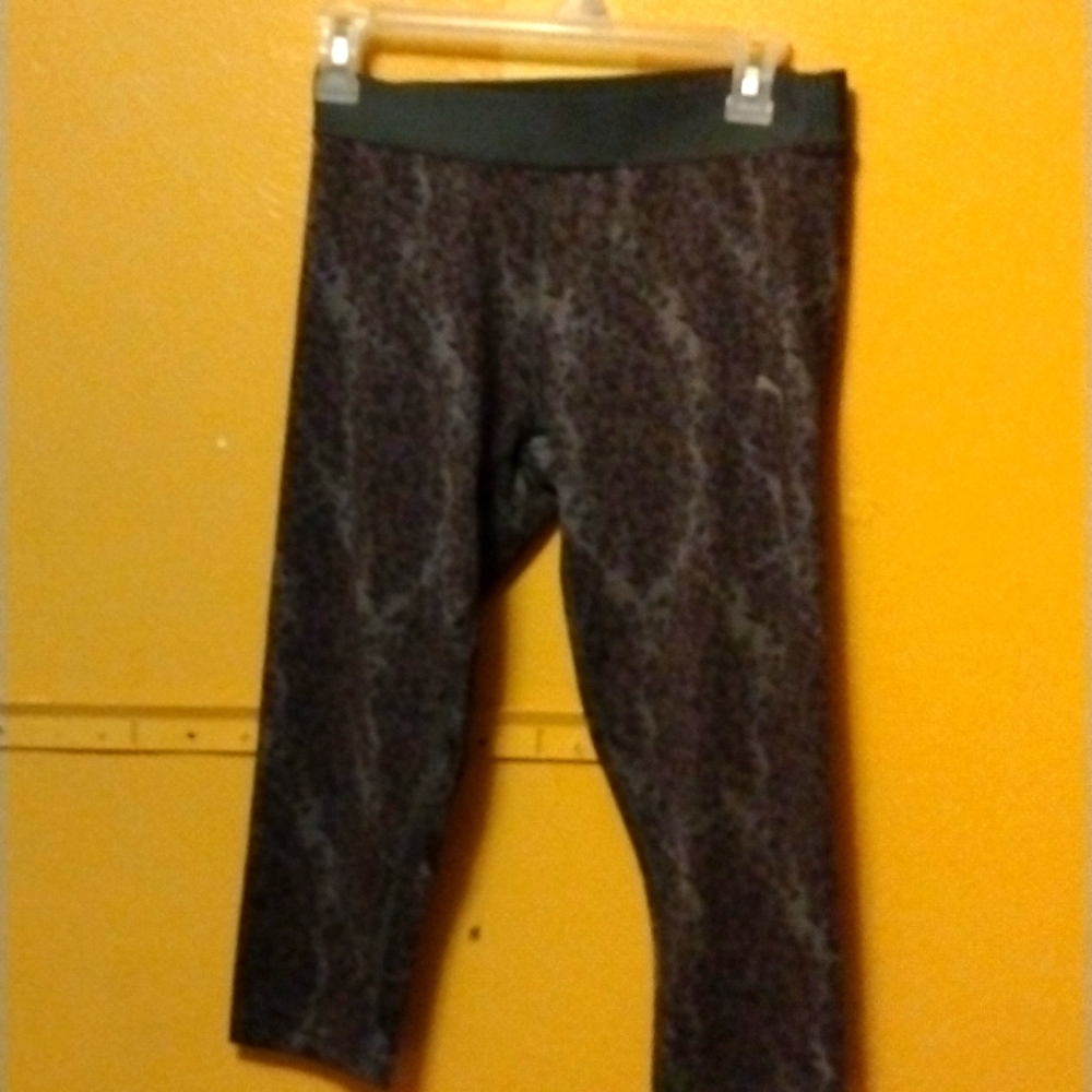 Puma capri